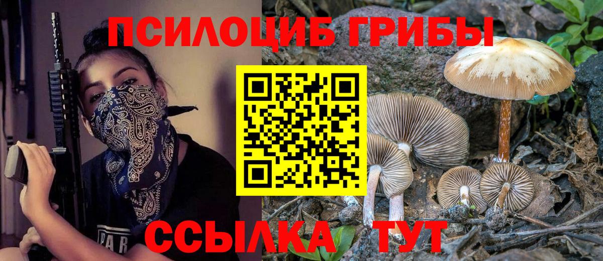 Медногорск  Галлюциногенные грибы мицелий  Вход с VPN  Псилоцибиновые грибы Psilocybine cubensis 