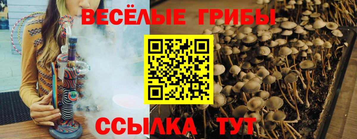 Псилоцибиновые грибы мухоморы Медногорск